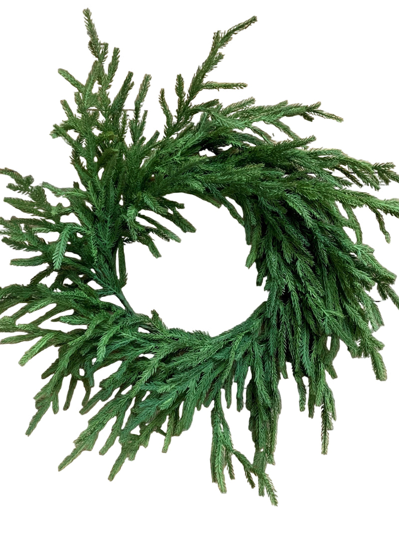 Fresh Touch Norfolk Pine Wreath | 22"