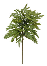 Fresh Touch Baby Norfolk Pine Spray | 23"