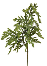 Fresh Touch Baby Norfolk Pine Spray | 34"