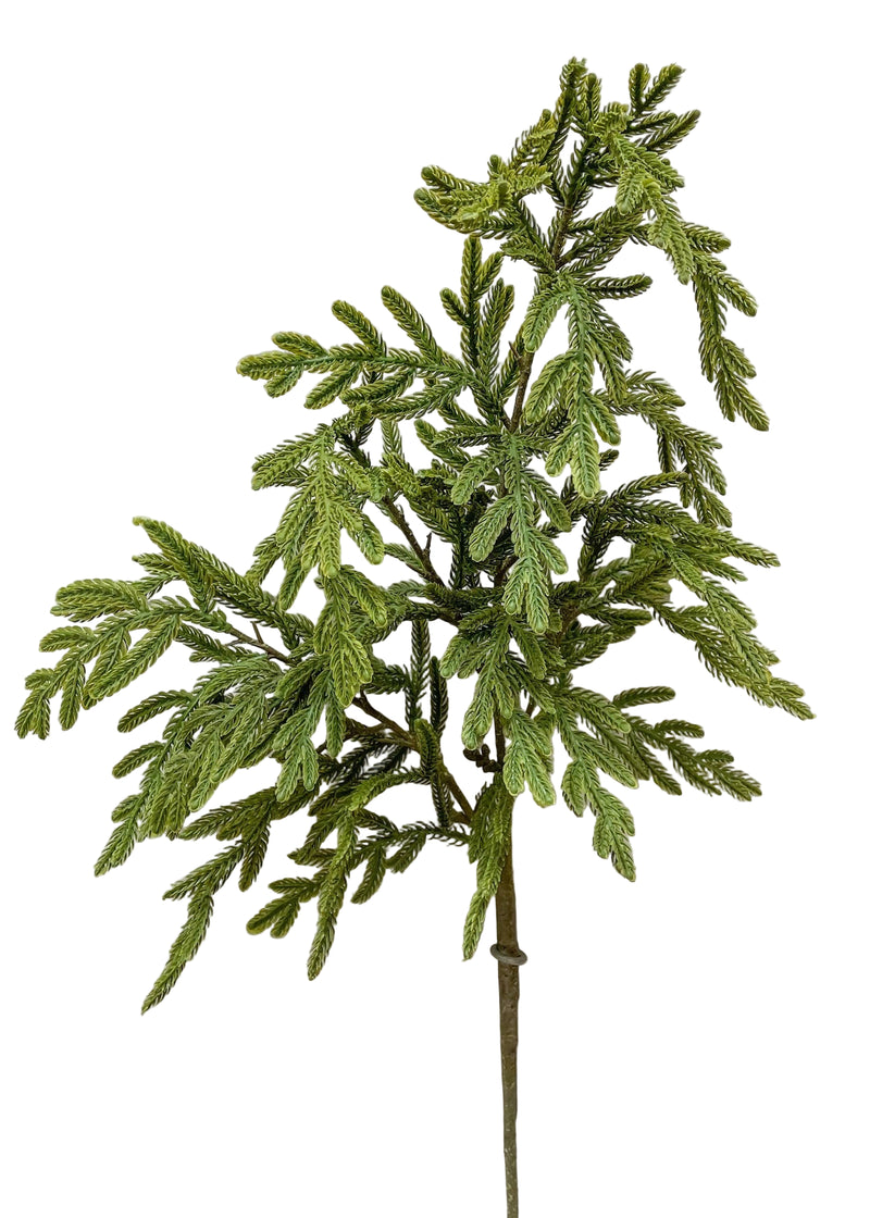 Fresh Touch Baby Norfolk Pine Spray | 34"