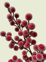 Red Sugared Berry Spray | 18"