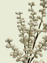 Cream Sugared Berry Spray | 25.5"