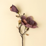 Magnolia Branch | Purple