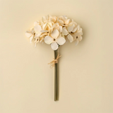 Hydrangea Bouquet | Cream