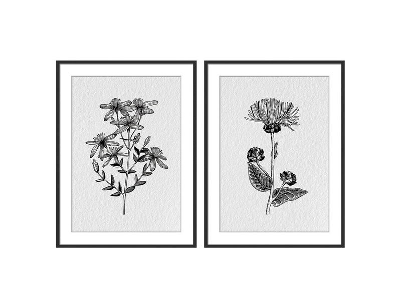 Set Of Two Framed Art | Wild Flowers