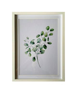 Framed Art | Eucalyptus