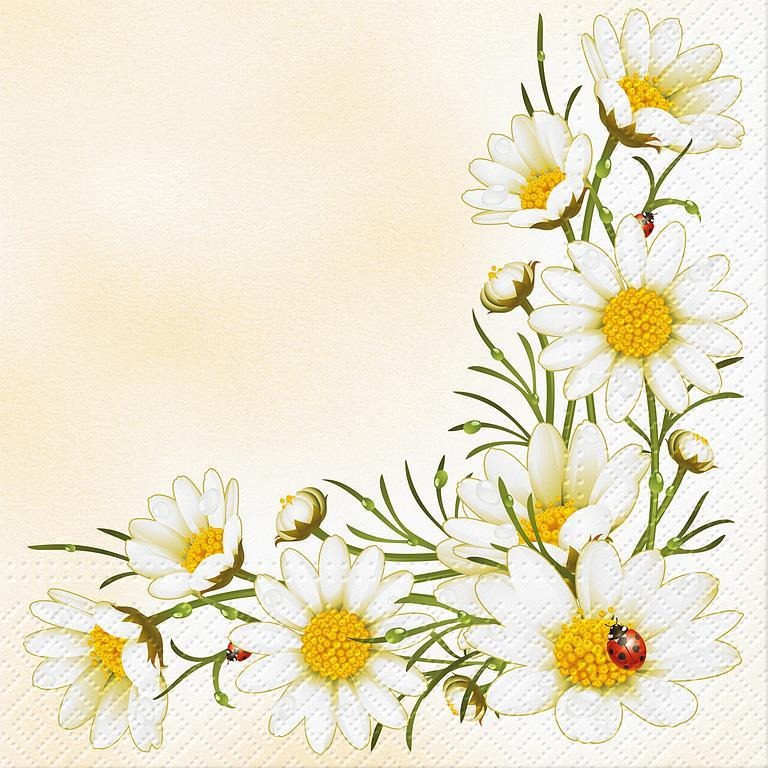 Bouquet of Daisies Napkins