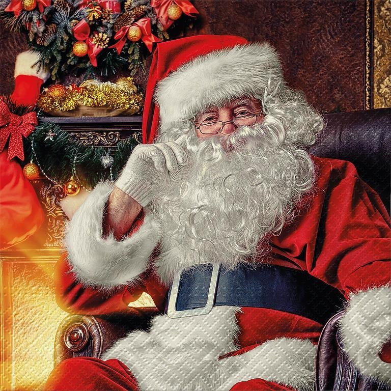 Lunch Napkins | Santa At Home