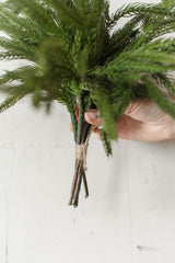 Fresh Touch Norfolk Pine Pick | 12"