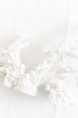 White Coral Branch | Large