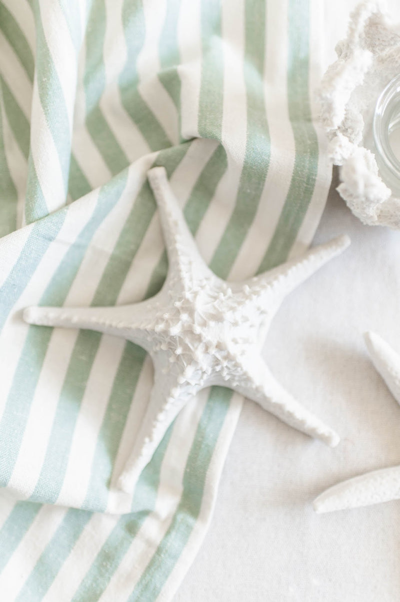 Raised White Starfish | Medium - FINAL SALE