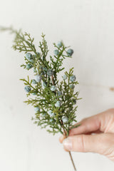 Juniper Spray | 12"