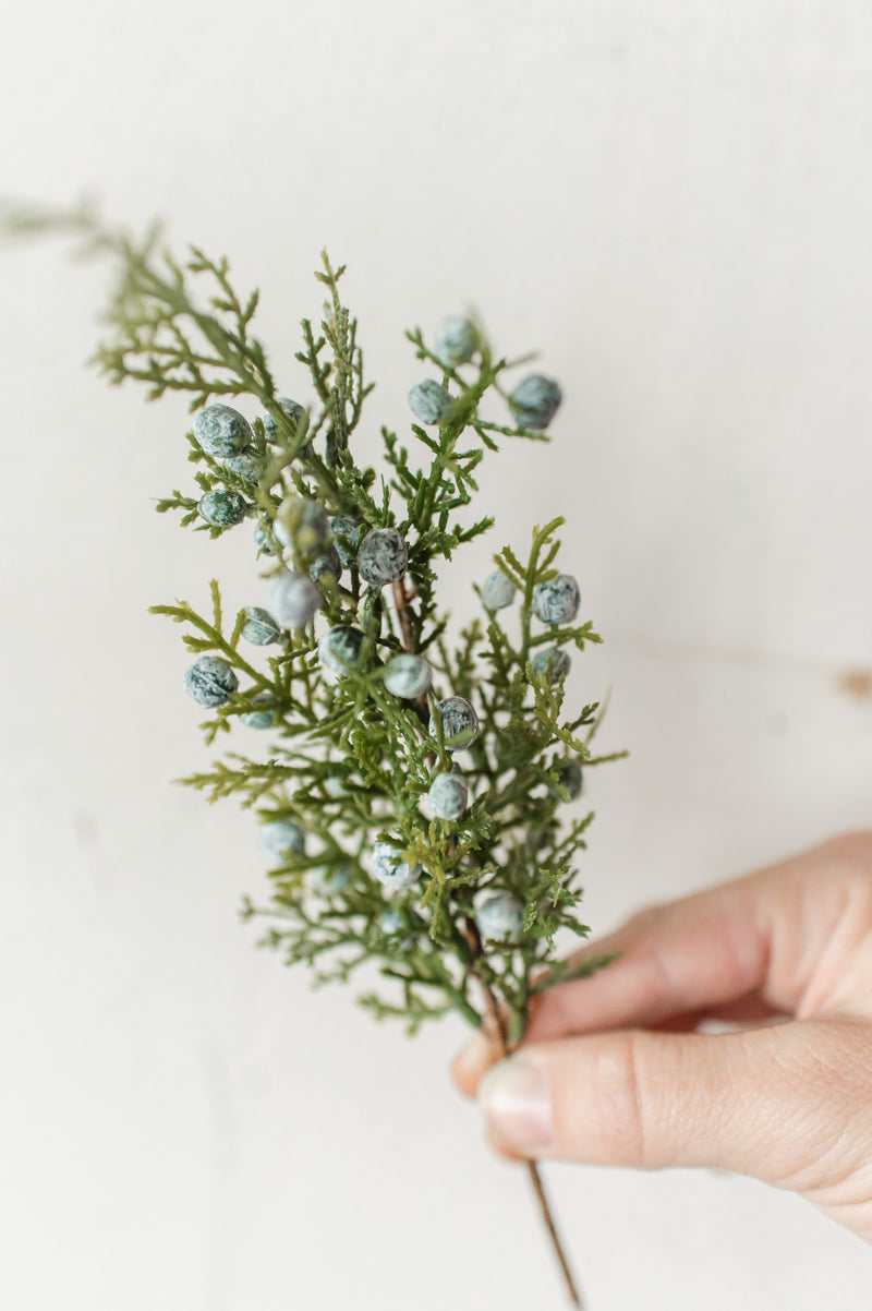 Juniper Spray | 12"