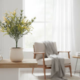 Roadsidia Bush | Mustard