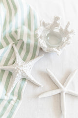 Simple White Starfish | Medium - FINAL SALE