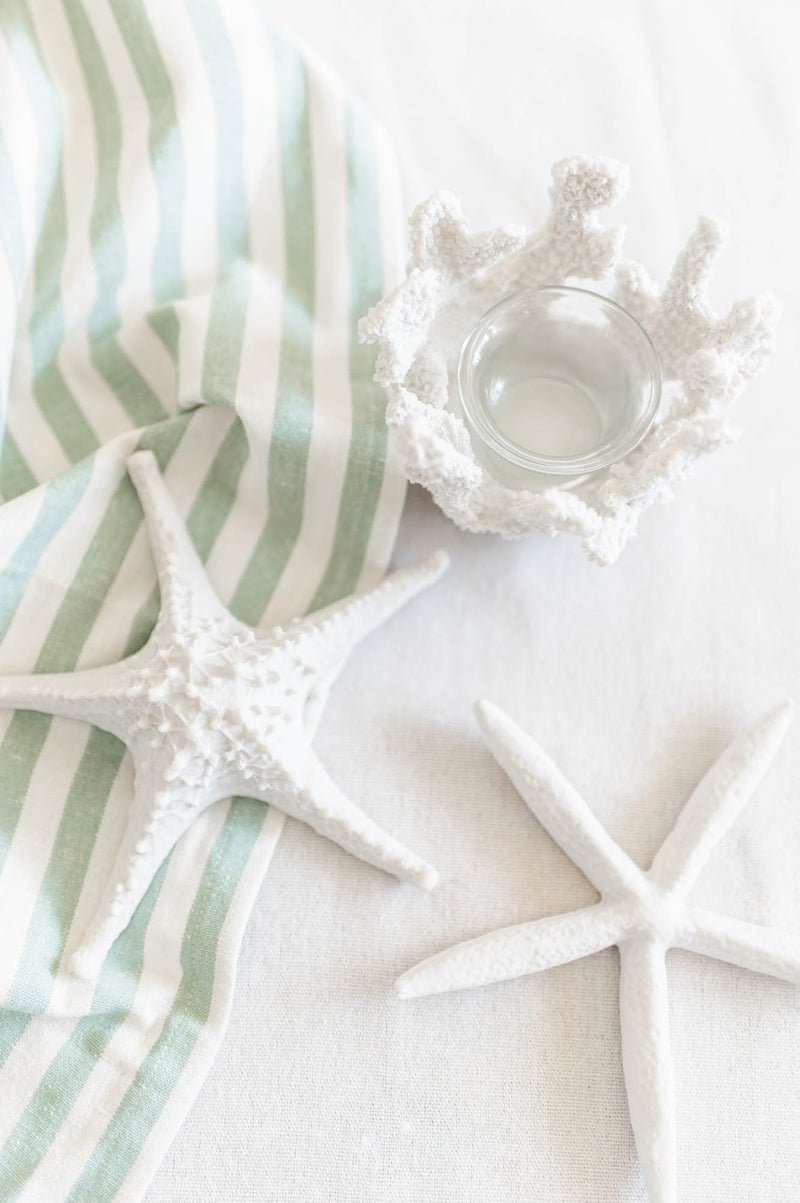 Simple White Starfish | Medium - FINAL SALE