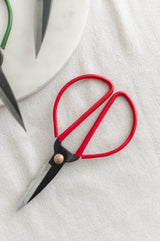 Flower Stem Shears