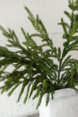 Fresh Touch Norfolk Pine Spray | 36"