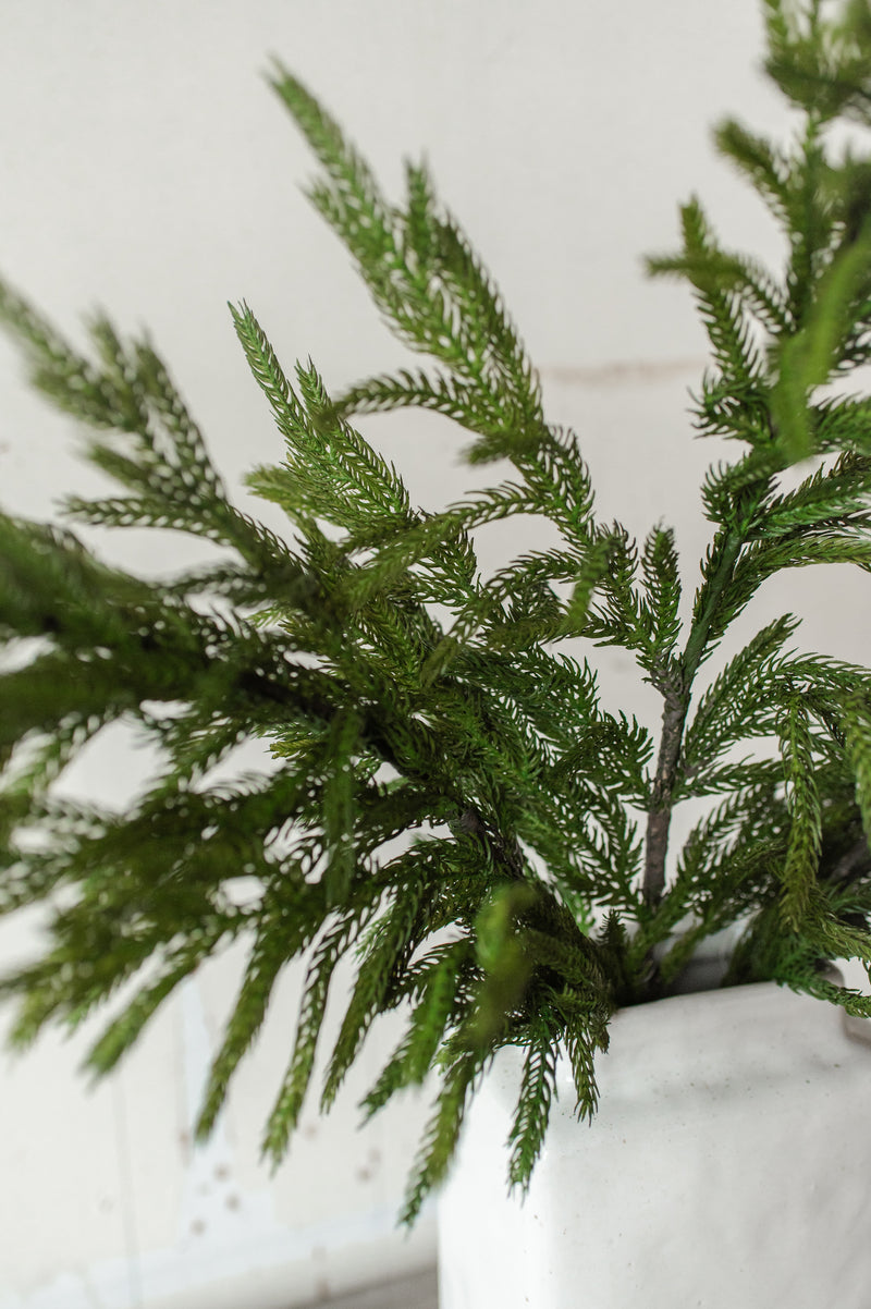Fresh Touch Norfolk Pine Spray | 36"