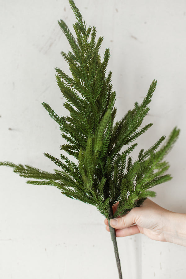Fresh Touch Norfolk Pine Branch | 29"