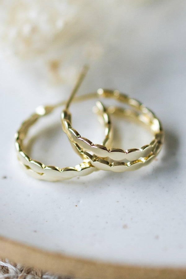 Bella Curio Hoops | Gold