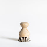 Dish Brush