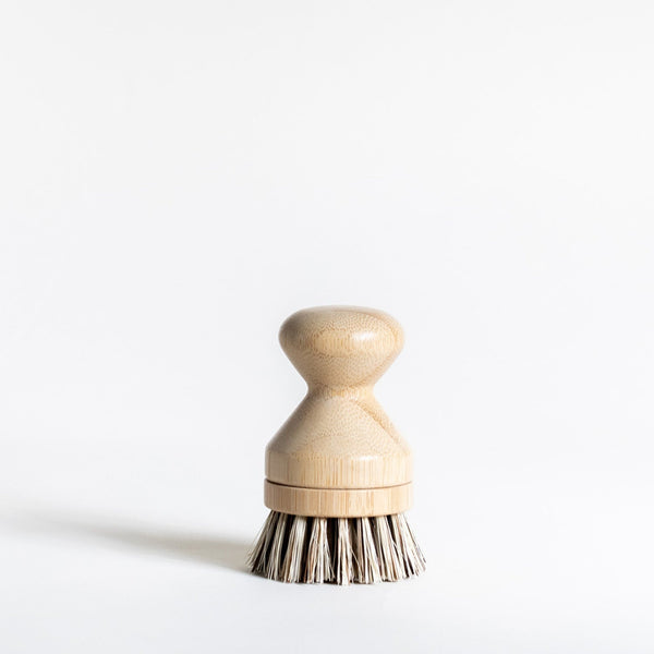 Dish Brush