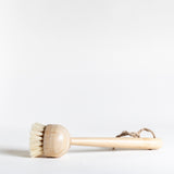 Dish Brush