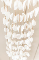 Arc Shell Chime | Large