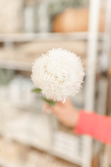 Fresh Touch White Allium Spray | 20"