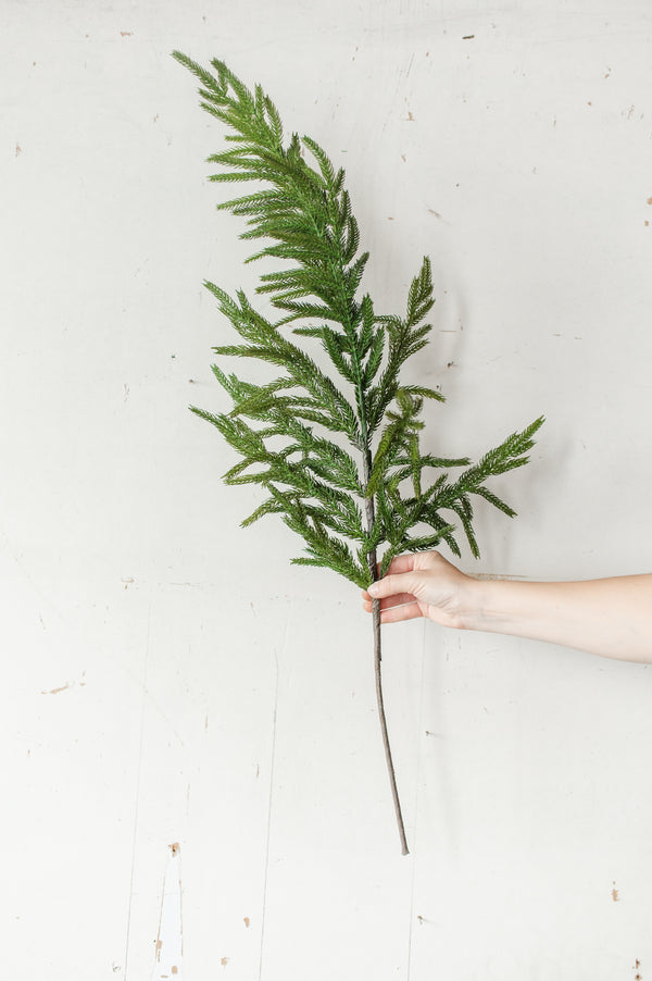 Fresh Touch Norfolk Pine Spray | 36"