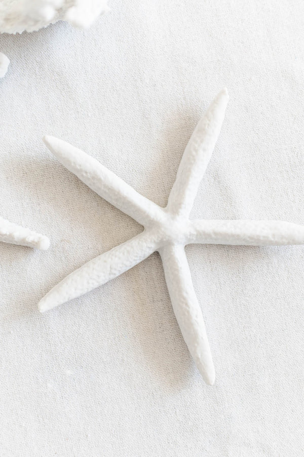 Simple White Starfish | Medium - FINAL SALE