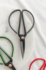 Flower Stem Shears