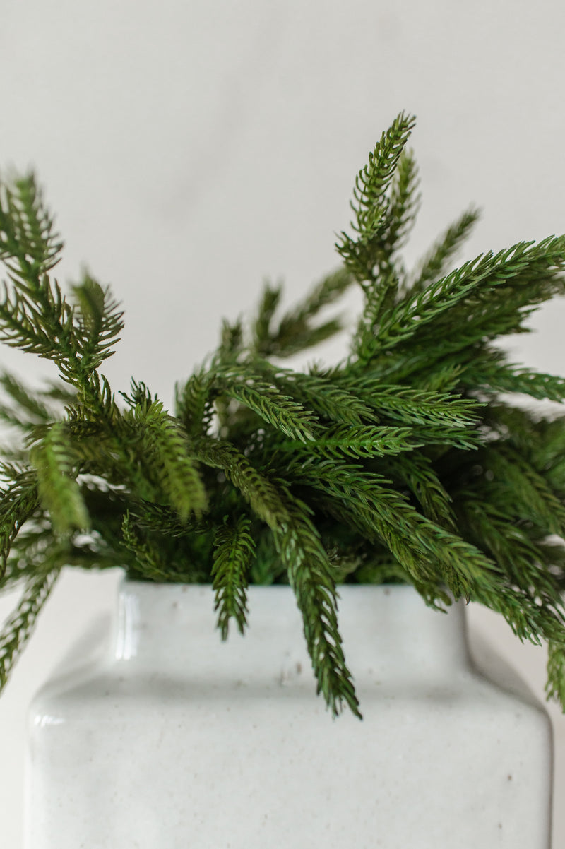 Fresh Touch Norfolk Pine Pick | 12"