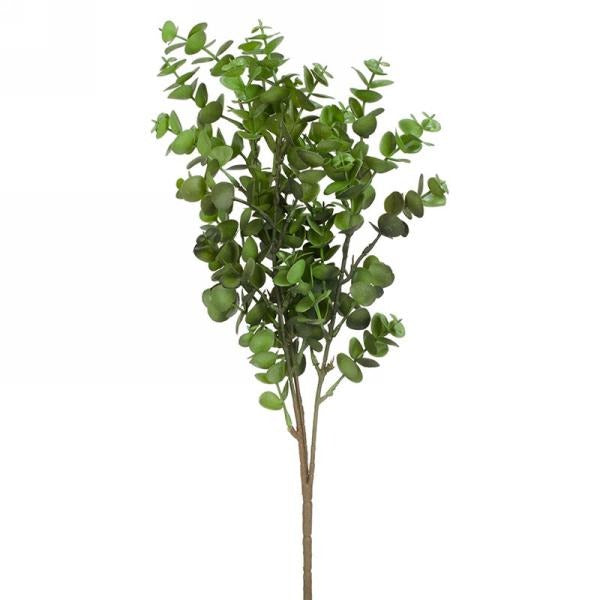 Green Eucalyptus Bunch | Small