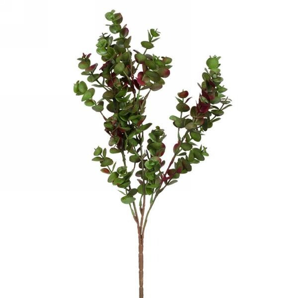 Burgundy & Green Eucalyptus Bunch | Small - FINAL SALE