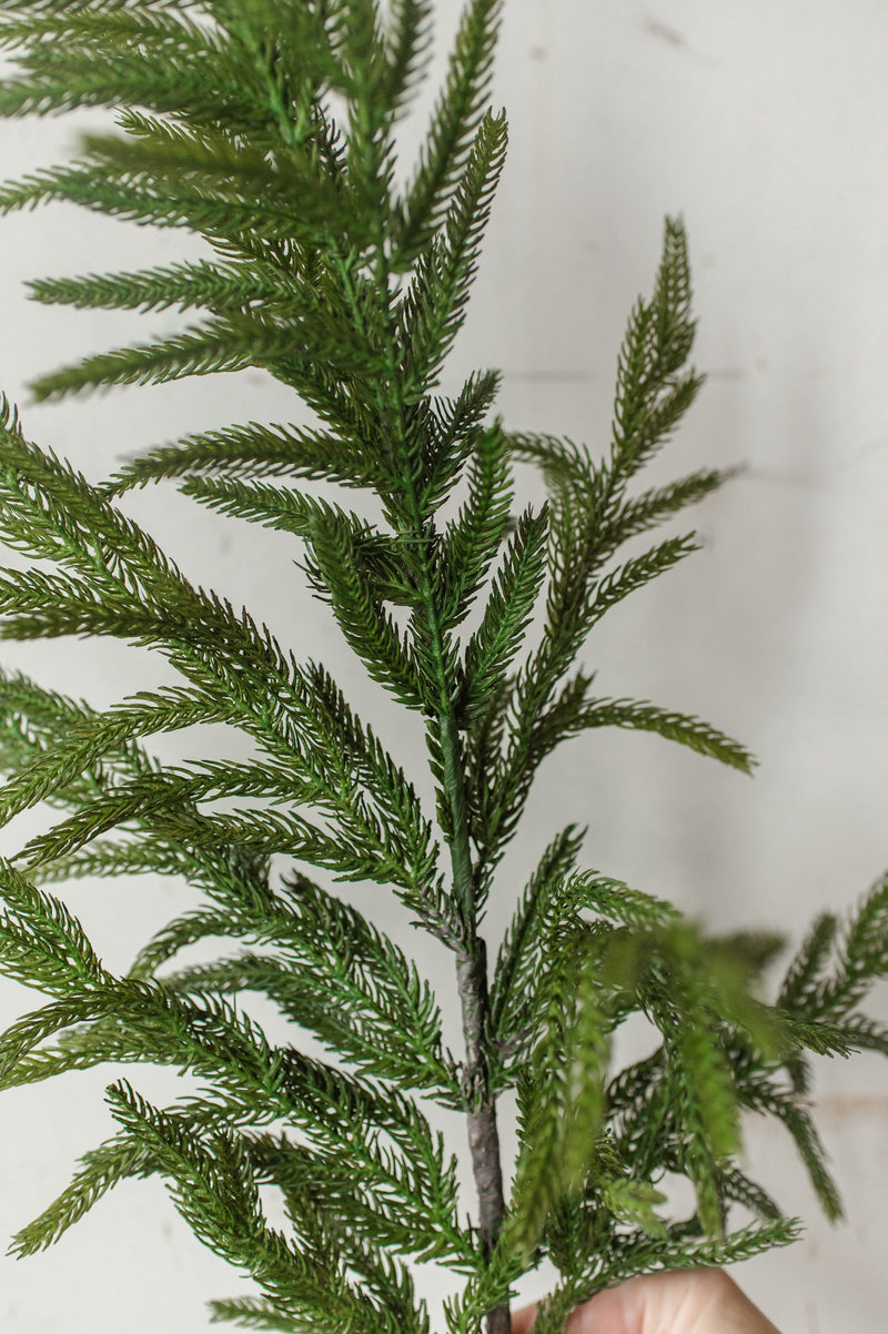 Fresh Touch Norfolk Pine Spray | 36"