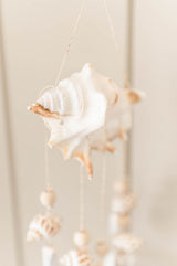 5 Strand Shell Chime