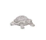 Cement Turtle