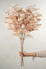 Eucalyptus Branch | Golden