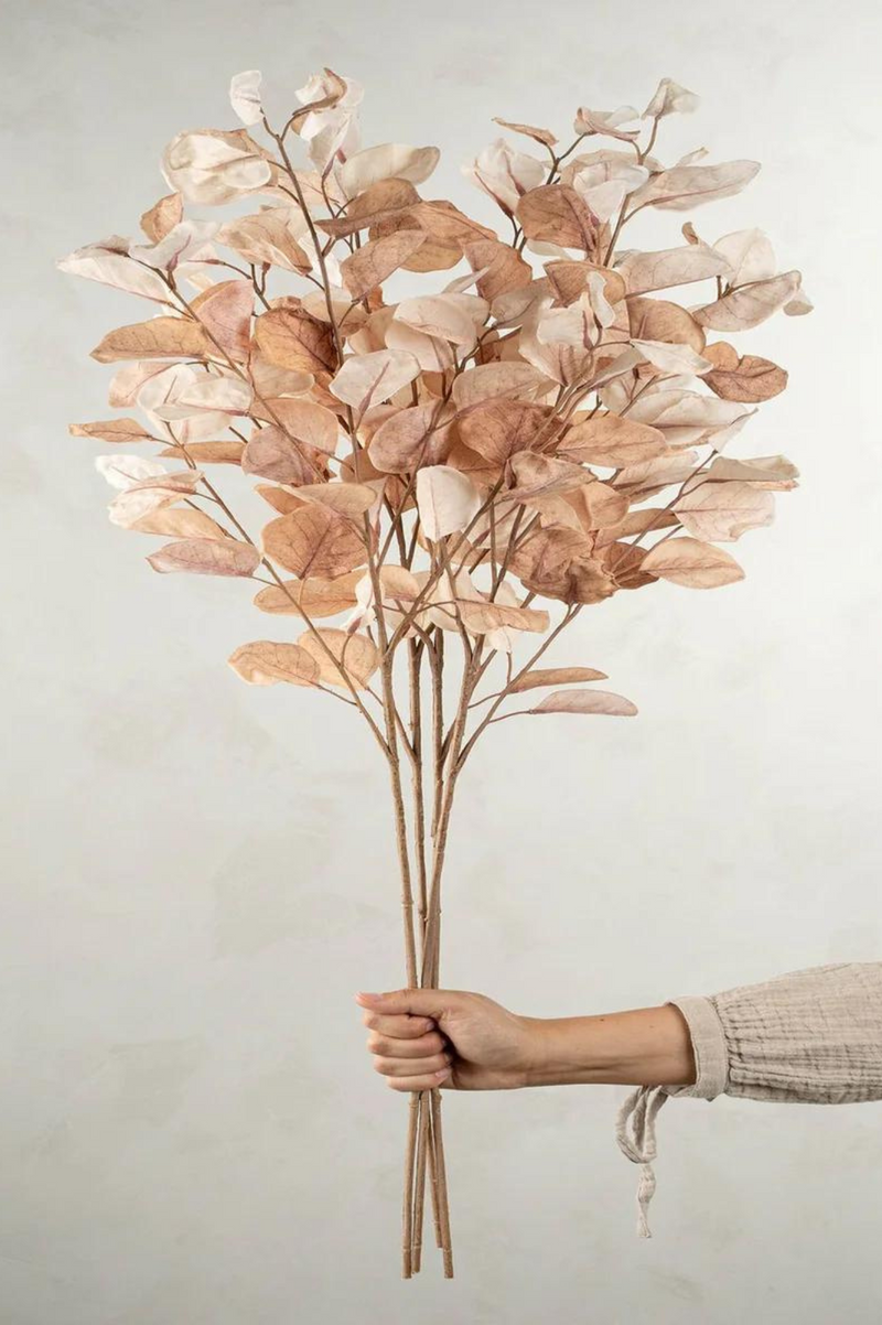 Eucalyptus Branch | Golden