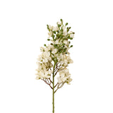 Delphinium Floral Stem | White