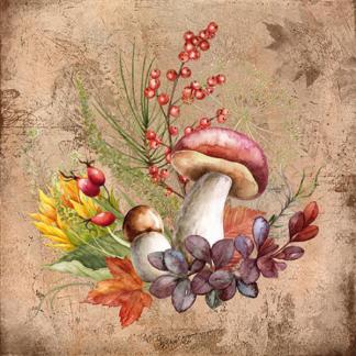 Lunch Napkin | Mushrooms - FINAL SALE