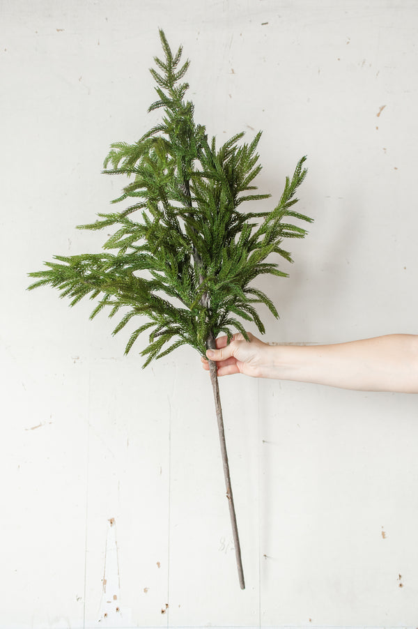 Fresh Touch Norfolk Pine Branch | 40"