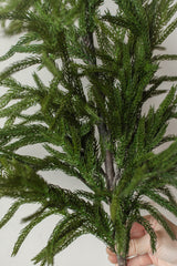 Fresh Touch Norfolk Pine Branch | 40"