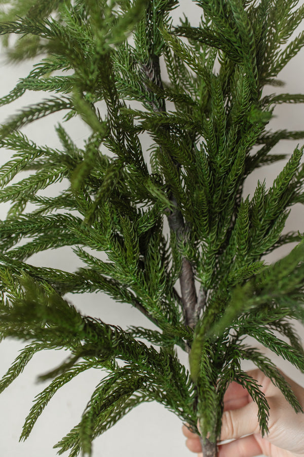 Fresh Touch Norfolk Pine Branch | 40"