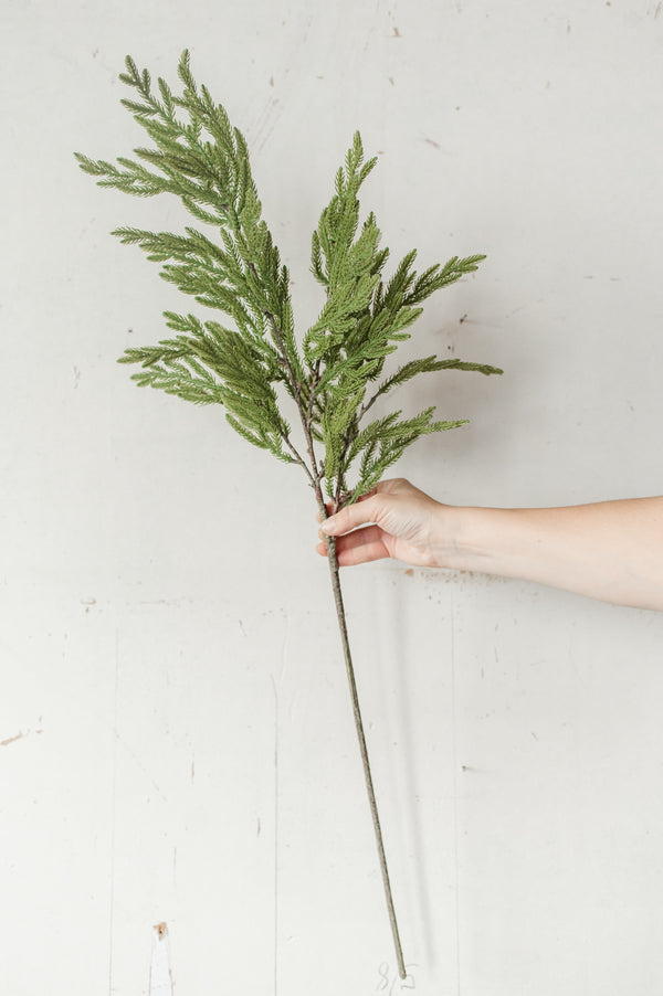 Fresh Touch Baby Norfolk Pine Spray | 34"