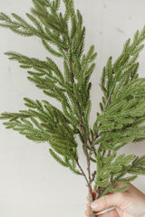 Fresh Touch Baby Norfolk Pine Spray | 34"