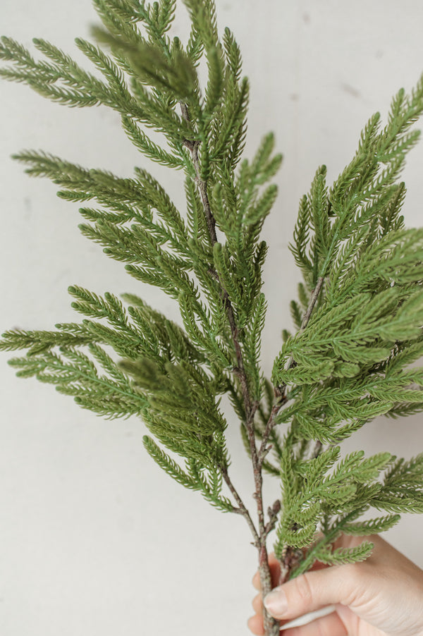 Fresh Touch Baby Norfolk Pine Spray | 34"