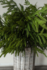 Fresh Touch Norfolk Pine Branch | 40"